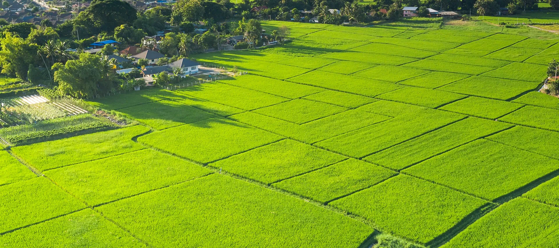 Industrial Park Phase 15